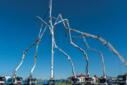 articolo_movimento_terra
